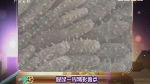 🔥 惊魂补时+中场失控！根特主场1-1遭梅赫伦绝平，争冠前景再添迷雾
