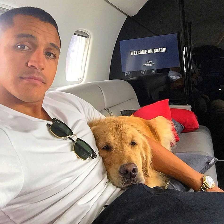 桑切斯在训练中神情专注，汗水湿透了球衣。尽管场外享受着豪车和私人飞机带来的奢靡生活，他在训练场上依然一丝不苟，试图通过加倍的努力来证明自己并非高薪低能。