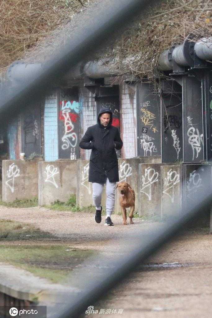 夕阳的余晖中，吉格斯带着满满一袋购物收获和爱犬踏上归途，狗狗紧紧跟随在主人脚边，长长的影子投射在地面，构成了这幅退役球星日常生活的温馨尾声。
