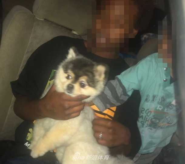 另一张照片里，这只萌犬蹲坐在草地上，竖起耳朵，眼神机警又带着一丝困惑，似乎在回忆与主人失散那天的情景
