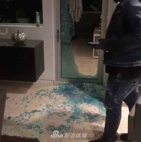 最后一张图里，它或许正在主人身边打滚撒娇，画面充满了即将团聚的期待感，真是个让人心疼又欢喜的小家伙