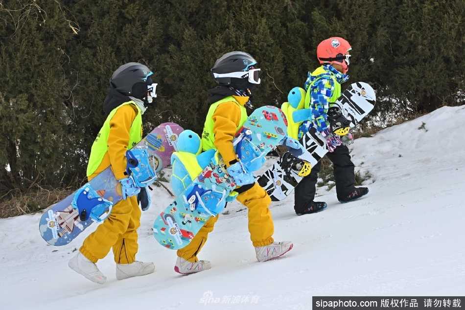 从高处俯瞰，多条雪道如白色绸带自驼山蜿蜒而下，滑雪者们化身彩点在其间流畅穿梭，景色壮阔。