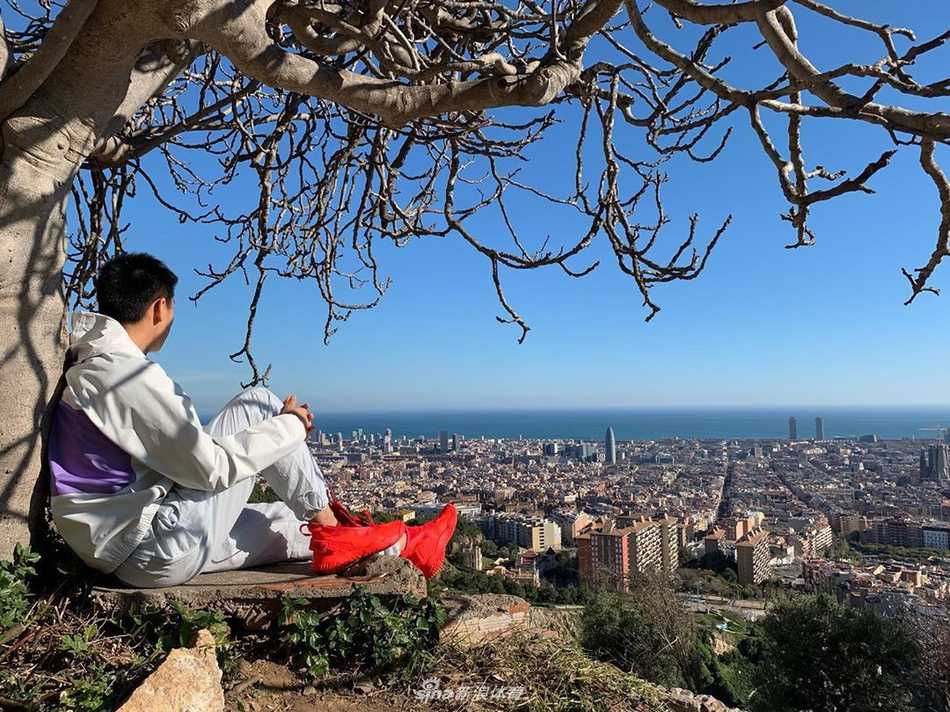 进球后的武磊在场上飞奔，队友们纷纷上前与他击掌拥抱，这粒关键的客场进球不仅是个人的荣誉，更是团队保级路上的重要一分。