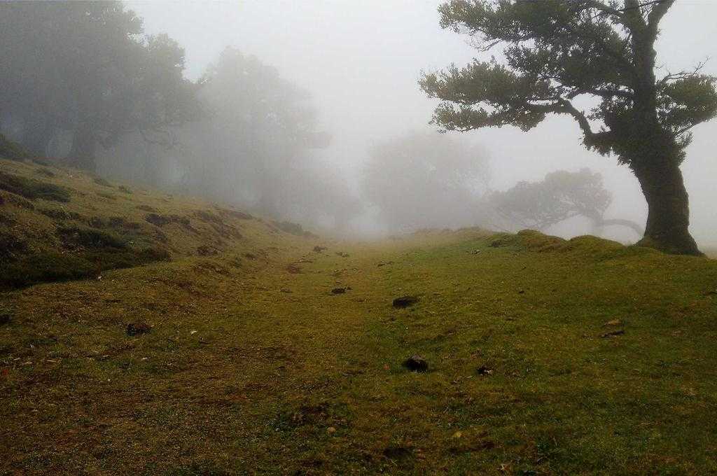 比赛开始前，皇家社会核心大卫·席尔瓦在阿诺埃塔球场抬头望向看台，眼神中充满对胜利的渴望