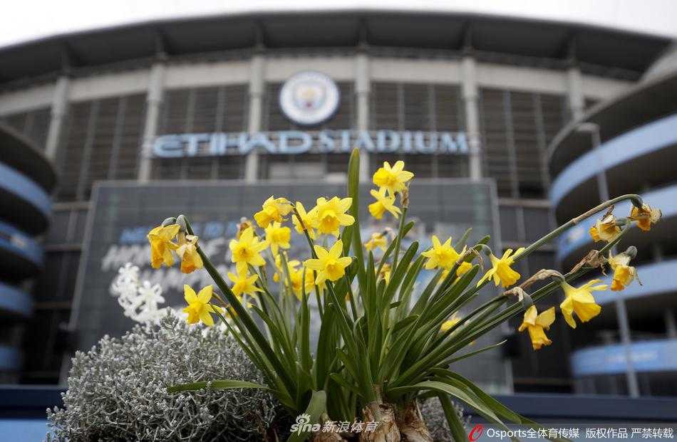 从球场看台俯瞰，一排排天蓝色的座椅空无一人，阳光斜照进场内，在看台投下长长的光影。这片往日被球迷的歌声与呐喊填满的空间，此刻只剩下寂静和等待。